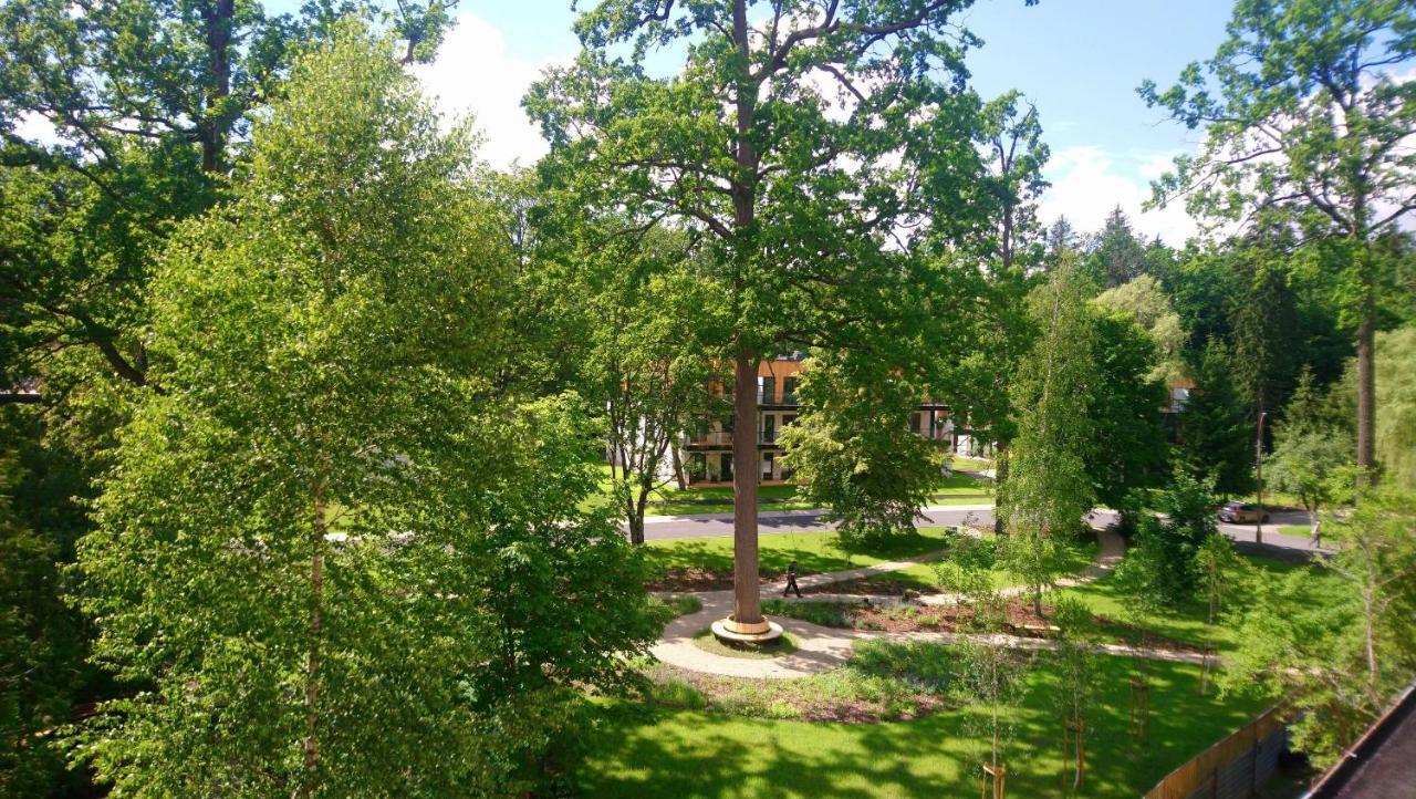Enklawa Bialowieska Forest & Spa Hajnówka Exterior foto